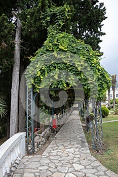 Park of palace Achilleon, Corfu, Greece photo