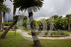 Park of palace Achilleon, Corfu, Greece photo