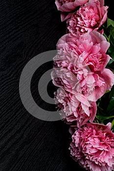 beautiful fresh peonies on wooden surface. Floral frame with pink peonies on wooden background