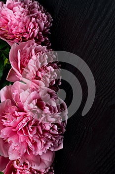 beautiful fresh peonies on wooden surface. Floral frame with pink peonies on wooden background