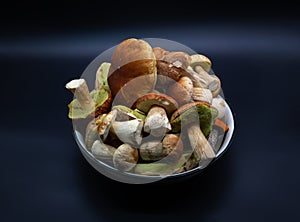 Beautiful fresh porcini mushrooms  in metal basin on dark background isolated season healthy food