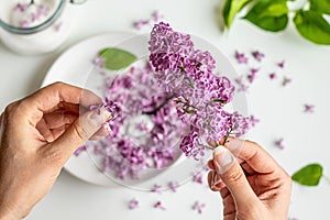 Beautiful fresh purple lilac blossoms in youg woman`s hand