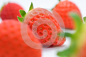 beautiful fresh red strawberry, texture skin of fruit