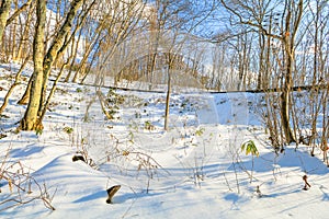 Beautiful fresh snow in winter around the mountains Lake ,and t