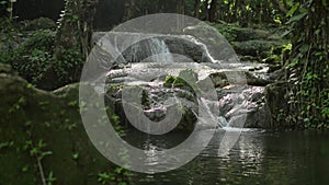 Beautiful fresh water rapids flowing into the natural pond under sunshine in the jungle.