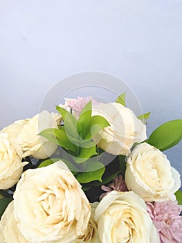 beautiful and fresh white roses in a flower vase