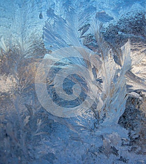 Beautiful frost pattern on window glass