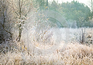 Beautiful frosty morning in countryside