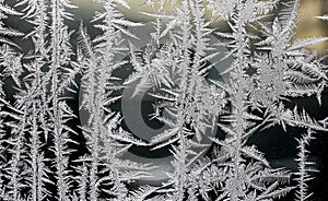 beautiful frosty patterns on the window glass