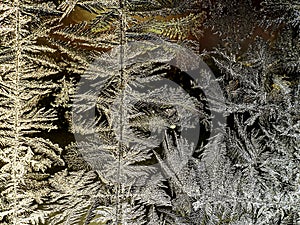 beautiful frosty patterns on the window glass