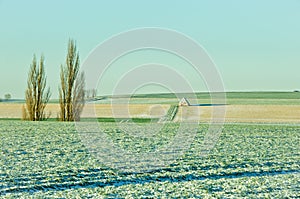 A beautiful frozen agricultur landscape photo