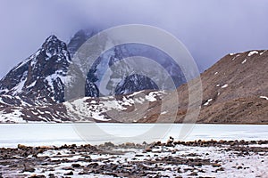 Beautiful frozen Gurudongmar Lake in North Sikkim India coverd by snow . Beautiful landscape in Eastern Himalaya, Sikkim