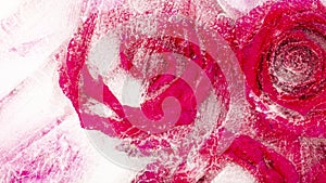 Beautiful frozen ruby roses abstraction