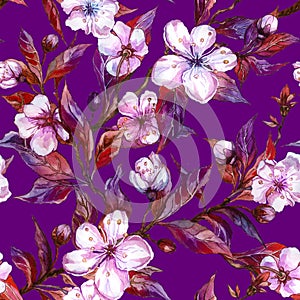 Beautiful fruit tree twigs in bloom on bright purple background. Big flowers on plum tree branch. Spring seamless floral pattern.