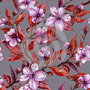 Beautiful fruit tree twigs in bloom on gray background. Lilac flowers and red leaves. Spring blossom. Seamless floral pattern.