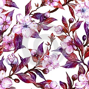 Beautiful fruit tree twigs in bloom on white background. Pink flowers and red and purple leaves. Spring seamless floral pattern.