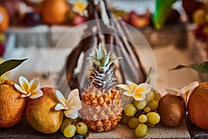 Beautiful fruits arranged with blurred background