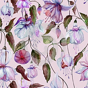 Beautiful fuchsia flowers on climbing twigs on pink background. Seamless floral pattern. Watercolor painting.