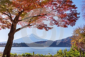 Beautiful fuji Mountain View in Autumn at Lake Kawaguchiko japan