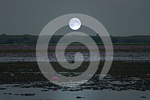 Beautiful full moon over the hiill and lake in evening photo