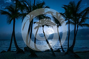 Beautiful full moon reflected on the calm water of a tropical beach