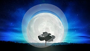 Beautiful full moon, solitude tree silhouette nature landscape