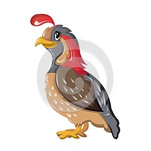 Beautiful funny cartoon quail. Bird of subfamily grouse, partridge. photo