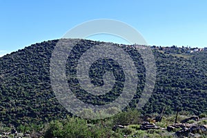 Beautiful Galilee landscape with trees.