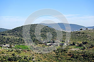 Beautiful Galilee landscape with trees.