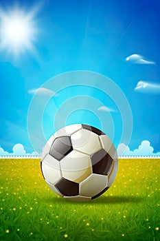 beautiful game with a soccer ball on a grassy field under a clear blue sky.