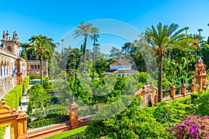 Beautiful garden adjoining the Galeria de Grutesco at Real Alcazar de Sevilla in Spain photo