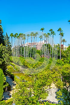 Hermoso jardín adyacente sobre el en 