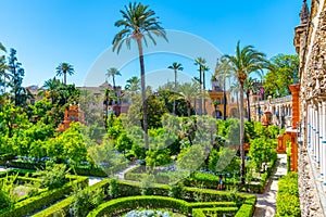 Beautiful garden adjoining the Galeria de Grutesco at Real Alcazar de Sevilla in Spain photo