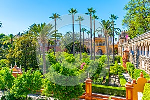 Beautiful garden adjoining the Galeria de Grutesco at Real Alcazar de Sevilla in Spain photo