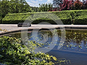 Beautiful Garden in Asheville, North Carolina USA