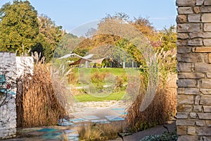 Beautiful garden in automn colors