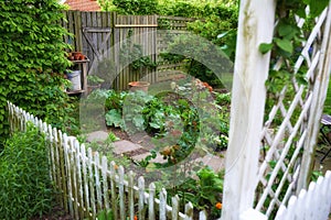 A beautiful garden in a backyard of a house or home with a wooden fence around it. Lush green botanical plants growing
