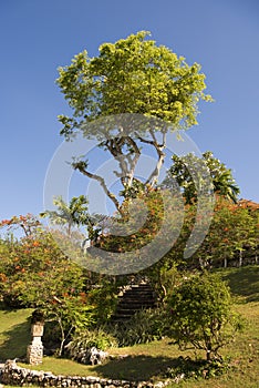 Beautiful garden, Bali