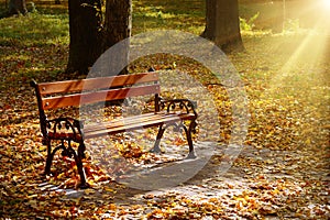 Beautiful garden bench in autumn park illuminated by sun.