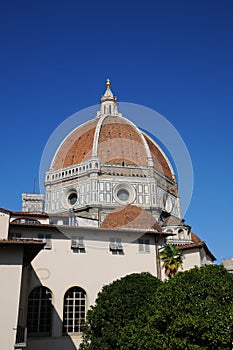 A beautiful Garden in the centre of Florence with the Dome of Cathedral Santa Maria del Fiore.