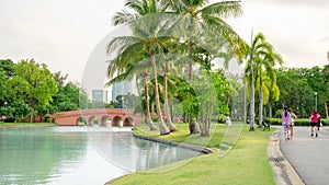 Beautiful garden in Chatuchak park Bankok Thailand, fresh green grass lawn yard under coconut palm trees beside a lake