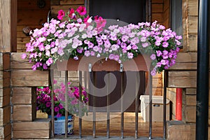 Beautiful garden with flower box and pot plants on the porch