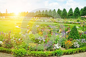 Beautiful garden with a flowers and sunrise