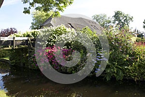 Beautiful garden in Giethoorn