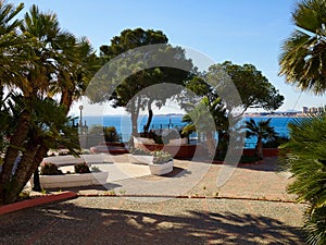 Beautiful garden with great view Cabo Roig Spain photo