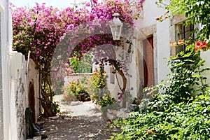 Beautiful garden and hous at Sisi, Crete