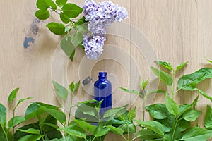 beautiful garden lilac flowers captured in bottle for essential oils