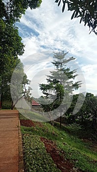 The beautiful garden with lush trees and blue skies in Jakarta Timur