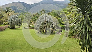 Beautiful garden at the Palmital waterfall, mountains in the background.