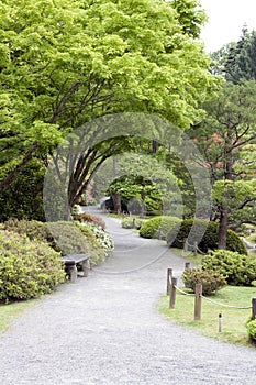 Beautiful garden path in Japanese Garden